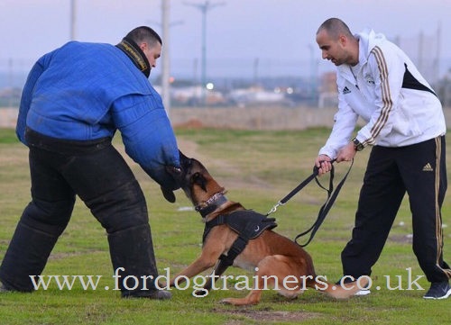 PRO Schutzhund dog training bite suit